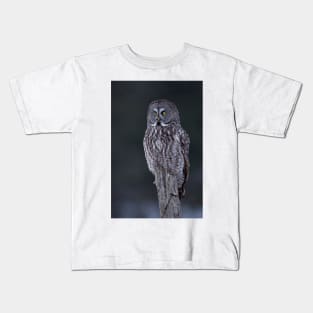 Great Grey Owl Kids T-Shirt